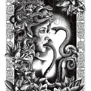 Medusa